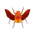 Large beetle kiss-cut sticker featuring red wings and orange thorax, white outline on white