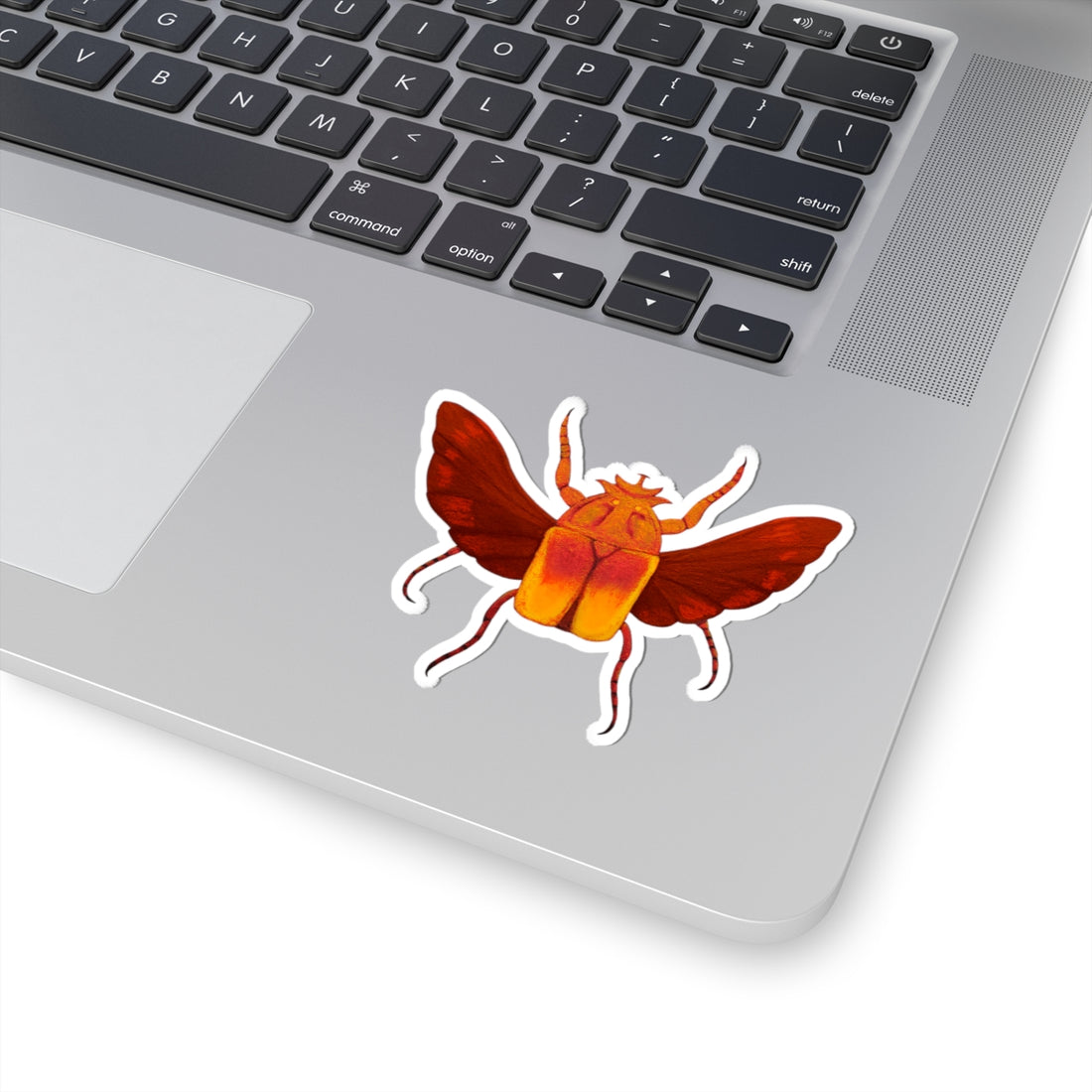 Beetle kiss-cut sticker of red-winged orange beetle with white outline, on laptop keyboard