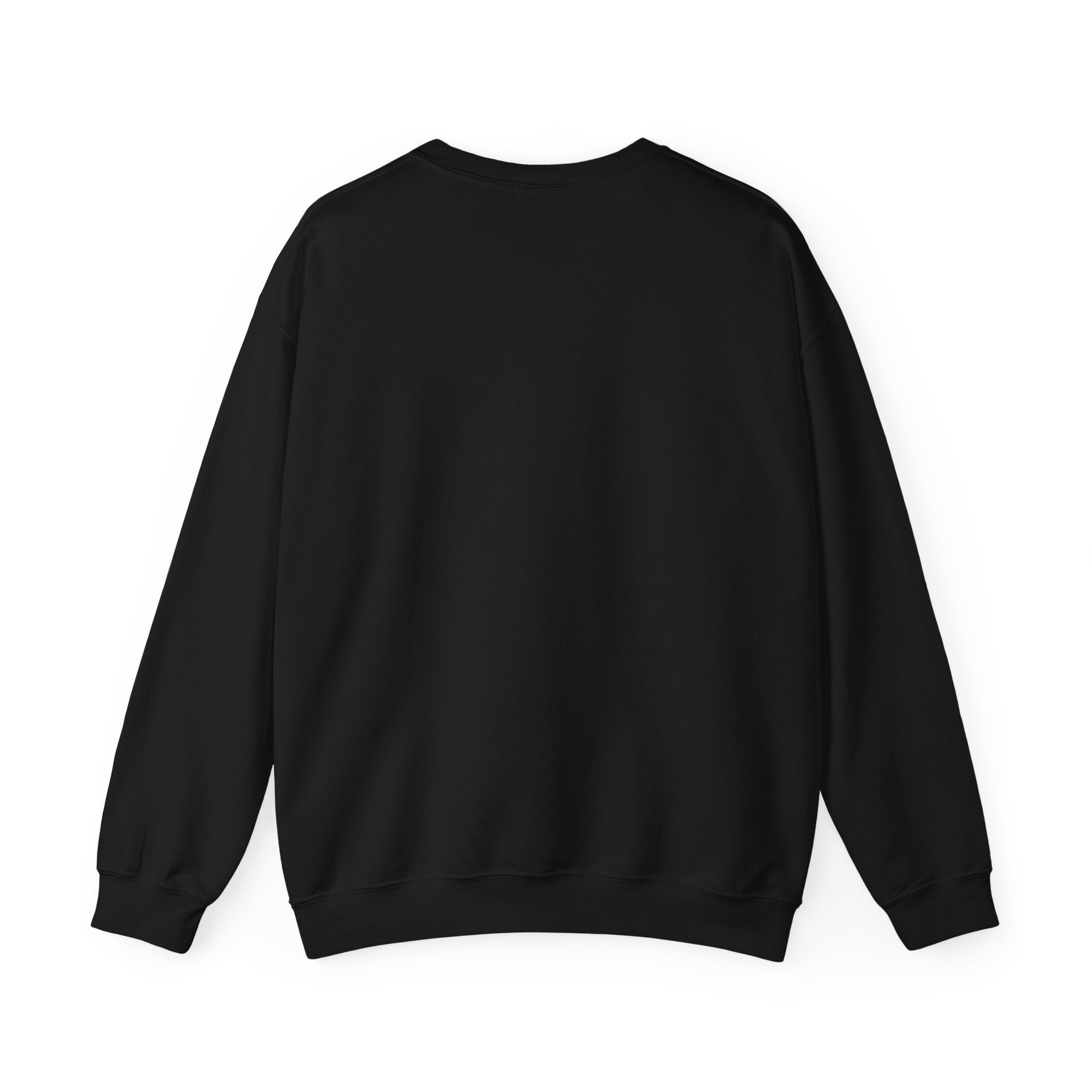 Black crewneck sweatshirt with ribbed cuffs and hem, back view.