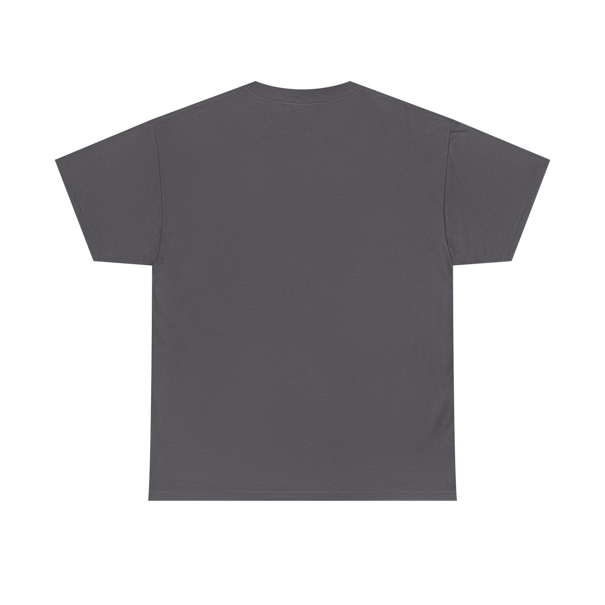 Unisex charcoal T-shirt, plain back view
